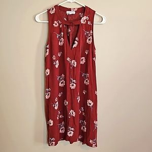 Mini dress with vneck and colar with button